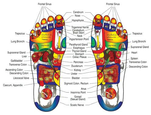 image-516794-foot-zone-chart.jpg